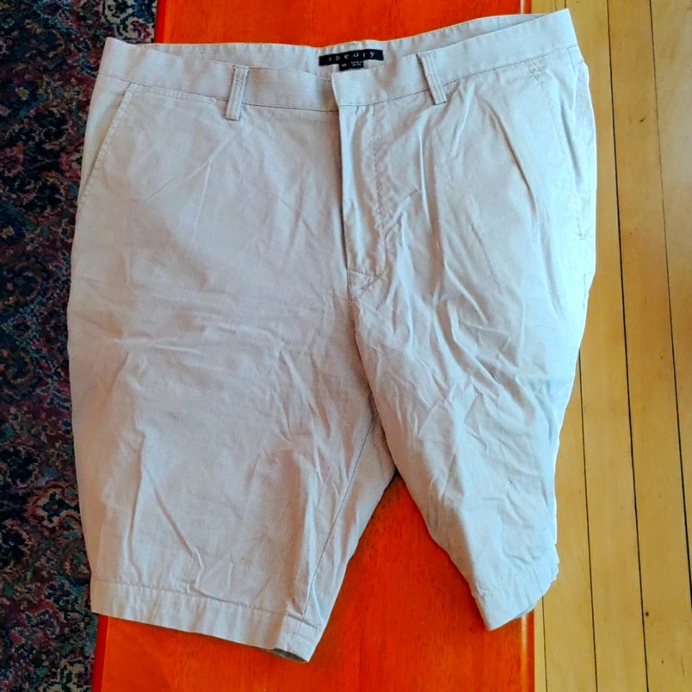 Theory shorts